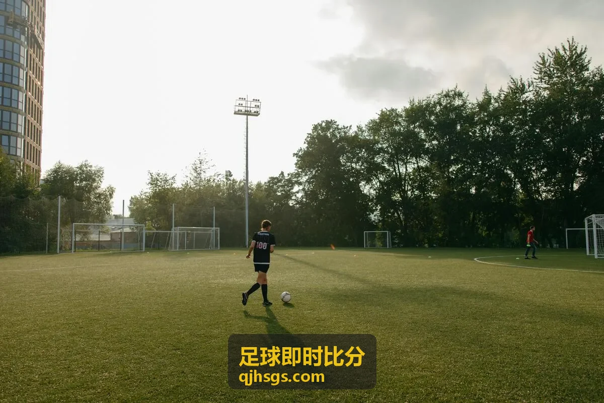 职业彩民分析足球即时比分